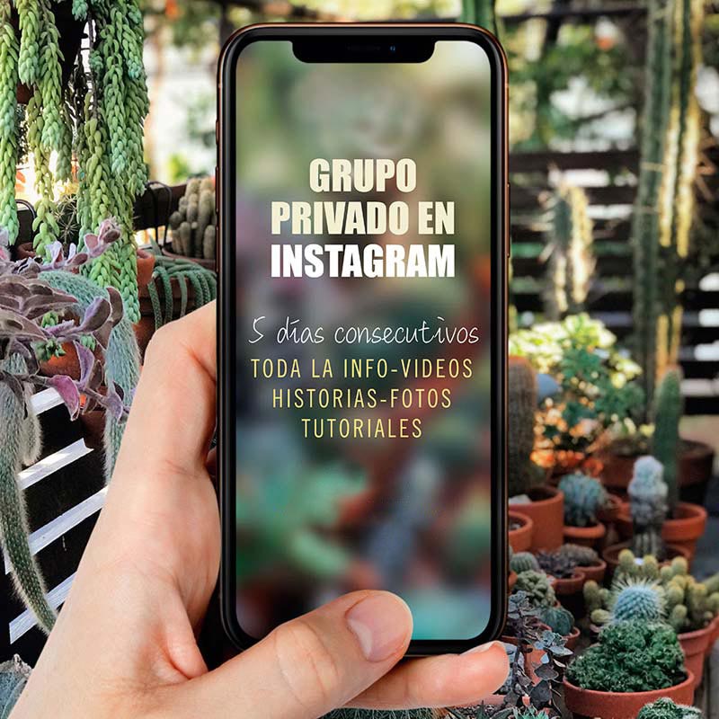 Curso de cactus y suculentas online - Grupo privado en Instagram